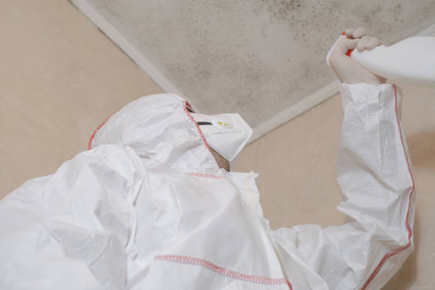 Best Residential Mold Removal  in Jacobus, PA