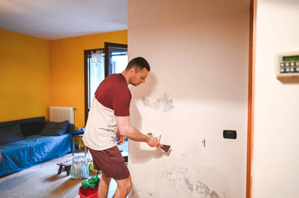 Office Mold Removal Services in Jacobus, PA